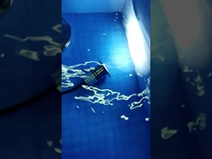 Σημείο ελαφρύ 5000k των ελαφριών οδηγήσεων γεφυρών οδηγήσεων στο ανοξείδωτο DC12/24v βαρκών